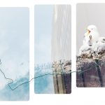 image of birds and a soundscapes map